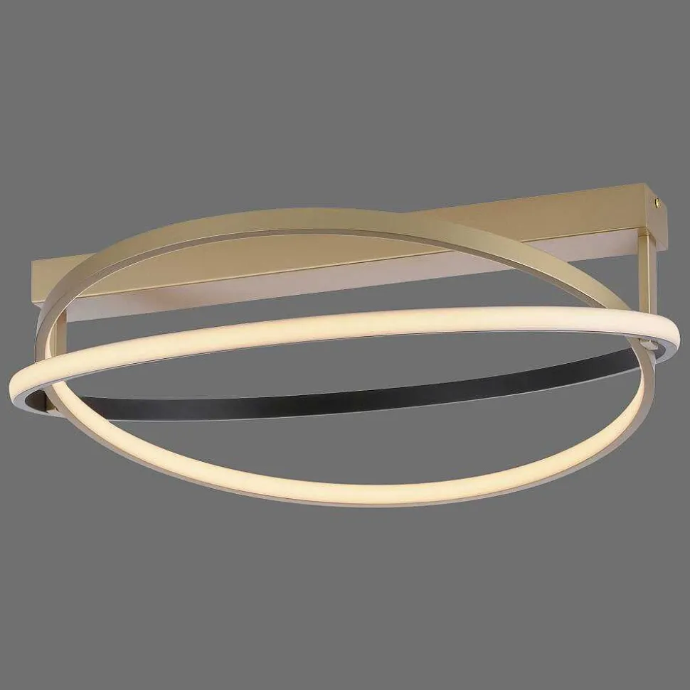 Plafonnier Paul Neuhaus Q-Beluga Led Or, 1 Lumiere, Telecommandes