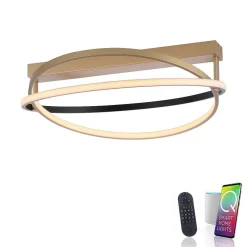 Plafonnier Paul Neuhaus Q-Beluga Led Or, 1 Lumiere, Telecommandes