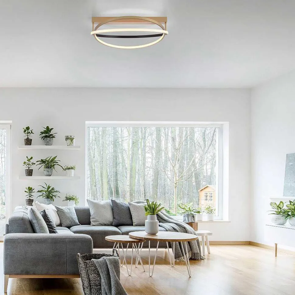 Plafonnier Paul Neuhaus Q-Beluga Led Or, 1 Lumiere, Telecommandes