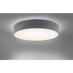Plafonnier Paul Neuhaus Q-Kiara Led Gris, 1 Lumiere, Telecommandes