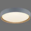 Plafonnier Paul Neuhaus Q-Emilia Led Gris, Couleur Bois, 1 Lumiere, Telecommandes