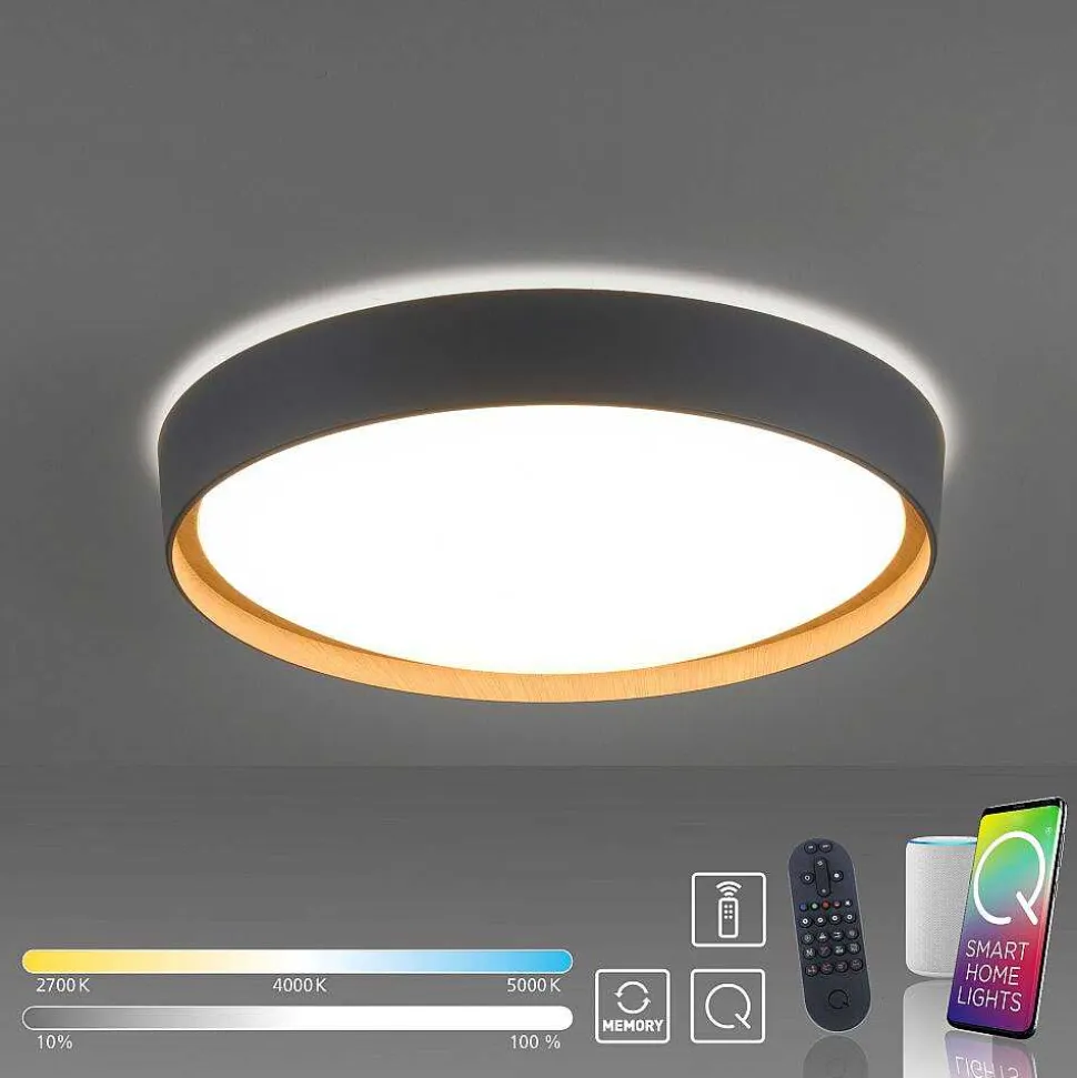 Plafonnier Paul Neuhaus Q-Emilia Led Gris, Couleur Bois, 1 Lumiere, Telecommandes