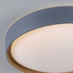 Plafonnier Paul Neuhaus Q-Emilia Led Gris, Couleur Bois, 1 Lumiere, Telecommandes