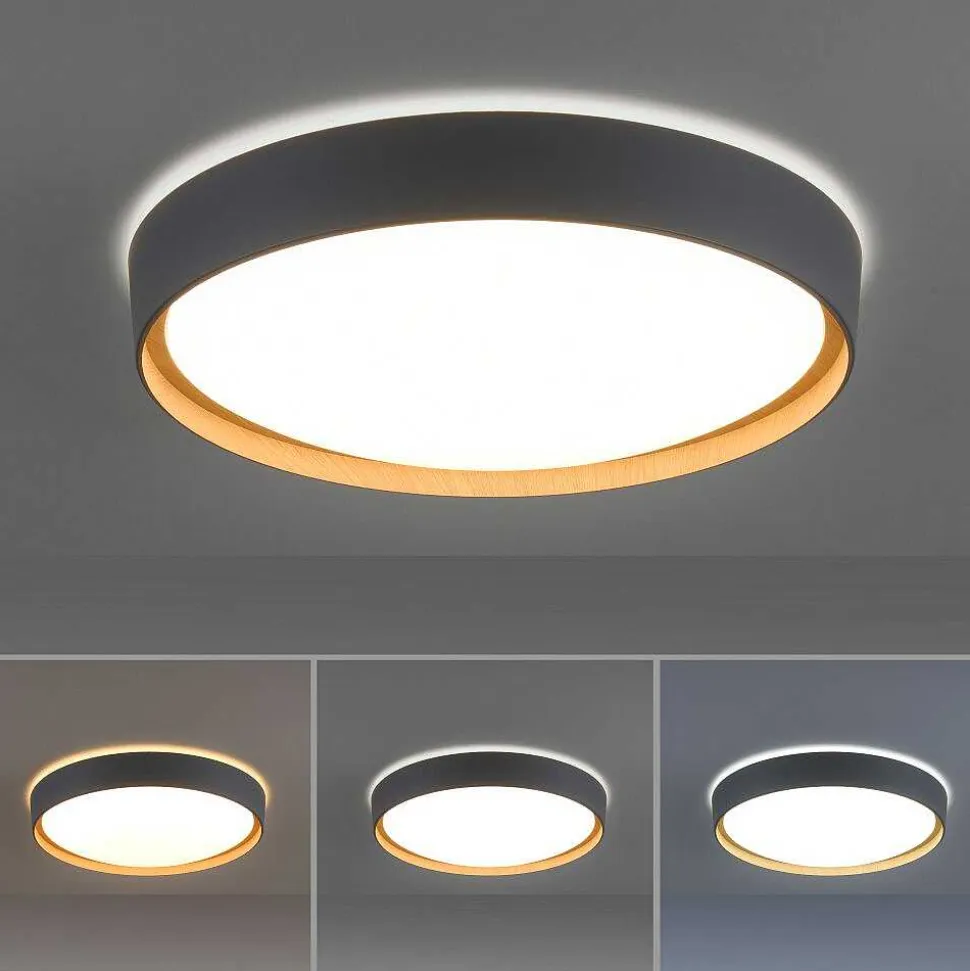 Plafonnier Paul Neuhaus Q-Emilia Led Gris, Couleur Bois, 1 Lumiere, Telecommandes