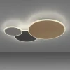 Plafonnier Paul Neuhaus Q-Piato Led Blanc, 1 Lumiere, Telecommandes