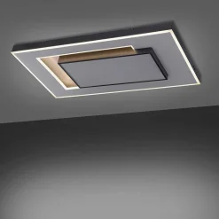 Plafonnier Paul-Neuhaus Q-Alta Led Noir, 1 Lumiere, Telecommandes