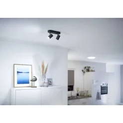 Plafonnier Philips Wiz Imageo Led Noir, 2 Lumieres