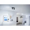 Plafonnier Philips Wiz Imageo Led Noir, 2 Lumieres, Changeur De Couleurs