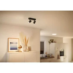 Plafonnier Philips Wiz Imageo Led Noir, 2 Lumieres, Changeur De Couleurs