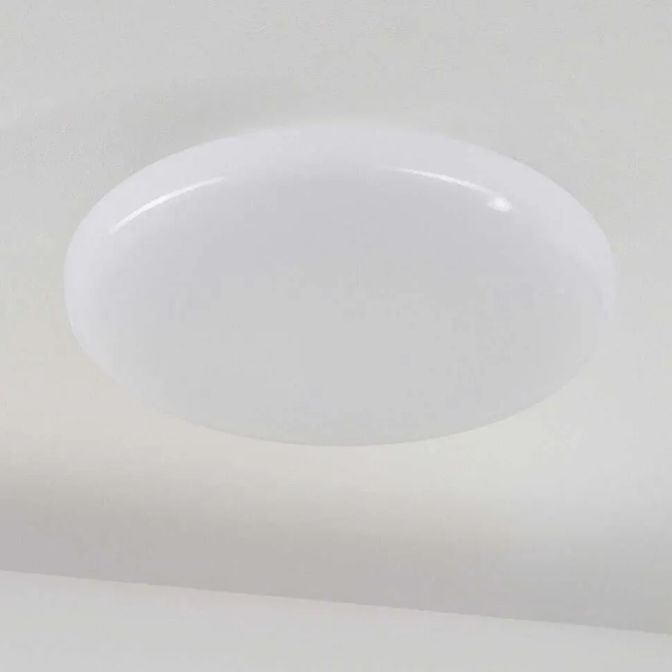 Plafonnier Ral Led Argente, Blanc, 1 Lumiere, Telecommandes, Changeur De Couleurs