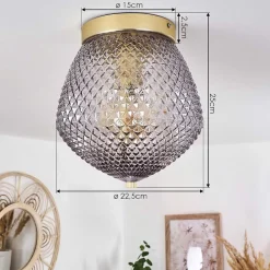 Plafonnier Vera Laiton, 1 Lumiere