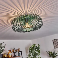 Plafonnier Wemude Vert, 1 Lumiere