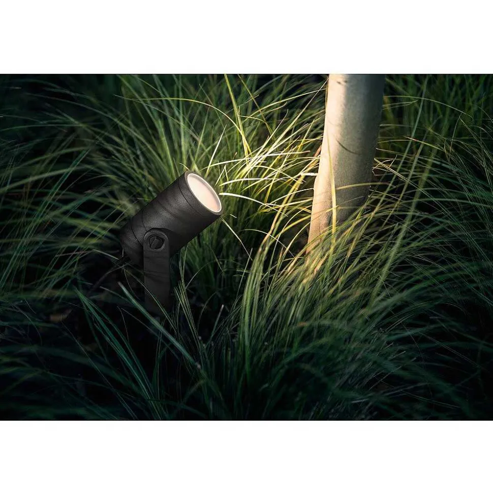Spot, Set D'Extension Philips Hue Ambiance White & Color Waca Lily Led Noir, 1 Lumiere, Changeur De Couleurs