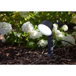 Spot Sur Pieu Lutec Dakota Led Anthracite, 1 Lumiere