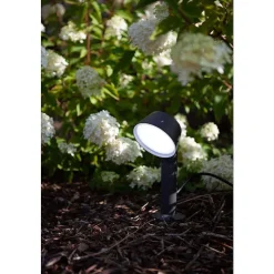 Spot Sur Pieu Lutec Dakota Led Anthracite, 1 Lumiere