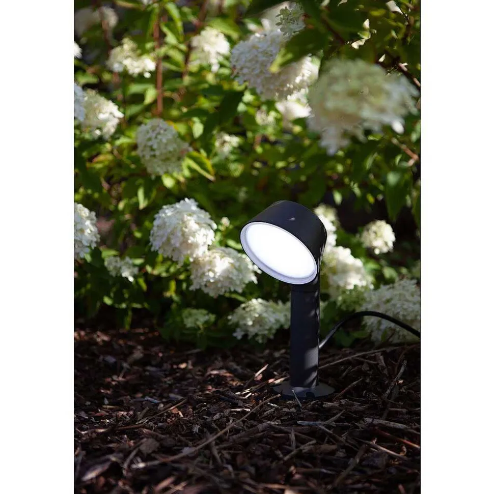 Spot Sur Pieu Lutec Dakota Led Anthracite, 1 Lumiere