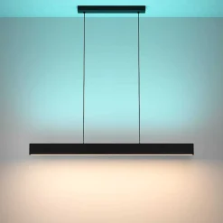 Suspension Eglo Andreas-Z Led Noir, 2 Lumieres, Changeur De Couleurs