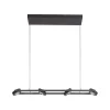 Suspension Paul Neuhaus Q-Mia Led Anthracite, 16 Lumieres, Telecommandes, Changeur De Couleurs