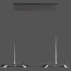 Suspension Paul Neuhaus Q-Mia Led Anthracite, 16 Lumieres, Telecommandes, Changeur De Couleurs