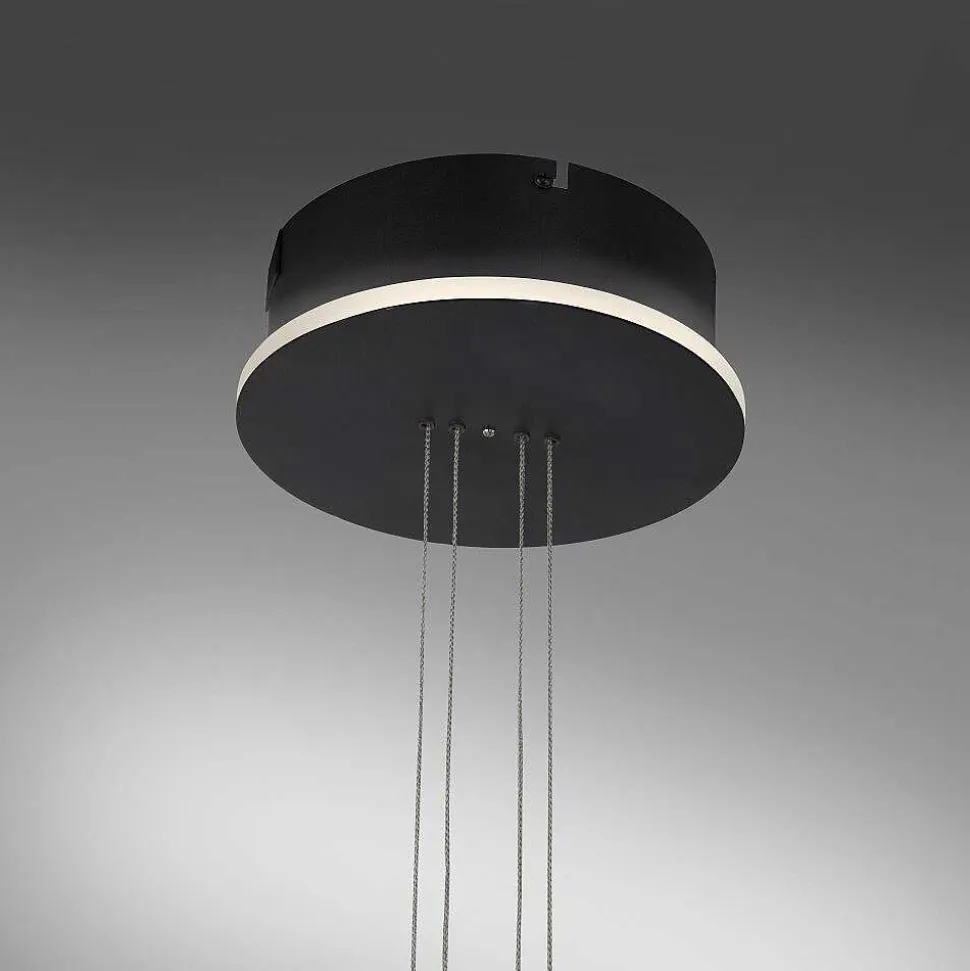 Suspension Paul Neuhaus Q-Etienne Led Noir, 1 Lumiere, Telecommandes