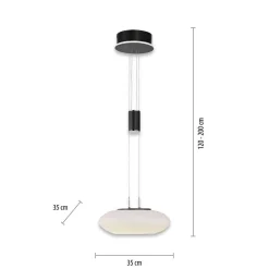 Suspension Paul Neuhaus Q-Etienne Led Noir, 1 Lumiere, Telecommandes