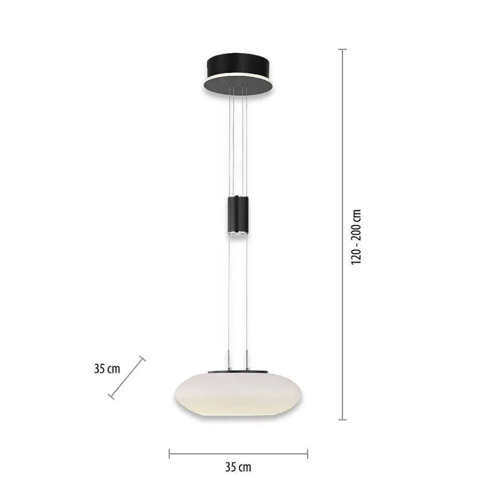 Suspension Paul Neuhaus Q-Etienne Led Noir, 1 Lumiere, Telecommandes