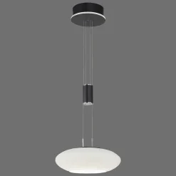 Suspension Paul Neuhaus Q-Etienne Led Noir, 1 Lumiere, Telecommandes
