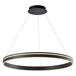 Suspension Paul Neuhaus Q-Vito Led Anthracite, 1 Lumiere, Telecommandes