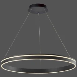 Suspension Paul Neuhaus Q-Vito Led Anthracite, 1 Lumiere, Telecommandes