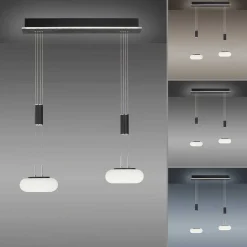 Suspension Paul Neuhaus Q-Etienne Led Noir, 2 Lumieres, Telecommandes