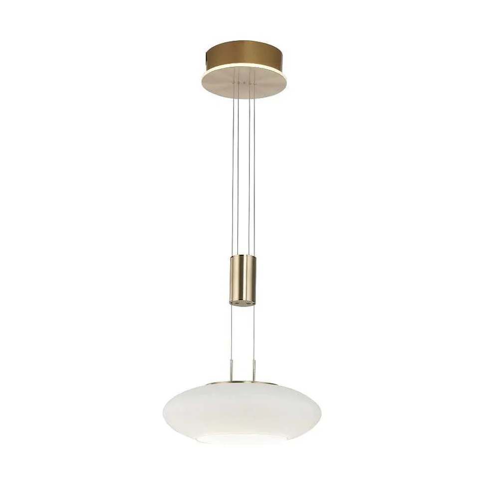 Suspension Paul Neuhaus Q-Etienne Led Laiton, 1 Lumiere, Telecommandes