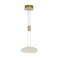 Suspension Paul Neuhaus Q-Etienne Led Laiton, 1 Lumiere, Telecommandes