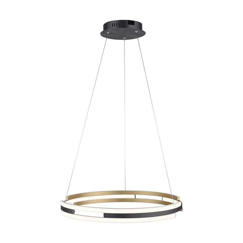 Suspension Paul Neuhaus Q-Beluga Led Or, 1 Lumiere, Telecommandes
