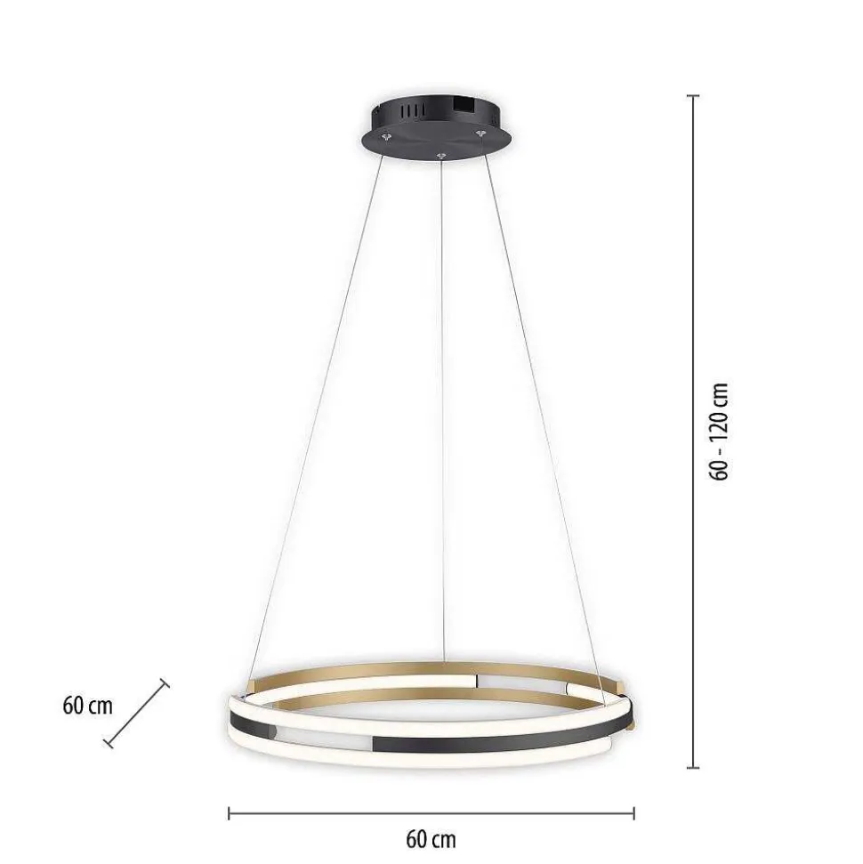Suspension Paul Neuhaus Q-Beluga Led Or, 1 Lumiere, Telecommandes