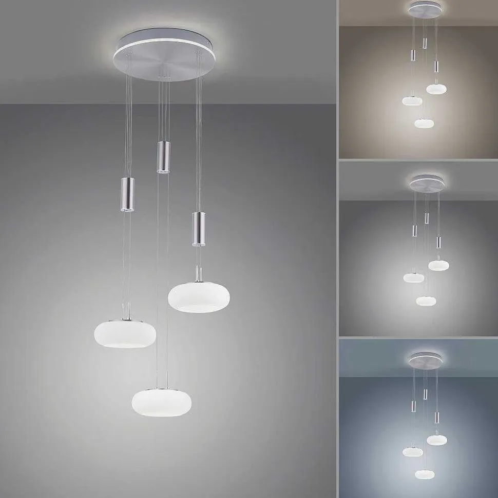 Suspension Paul-Neuhaus Q-Etienne Led Acier Brosse, 4 Lumieres, Telecommandes