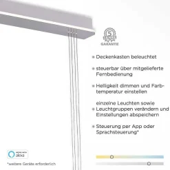 Suspension Paul-Neuhaus Q-Etienne Led Acier Brosse, 3 Lumieres, Telecommandes
