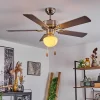 Ventilateur De Plafond Apiao Brun, Couleur Bois, Argente, 1 Lumiere