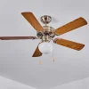 Ventilateur De Plafond Apiao Brun, Brun Clair, Couleur Bois, Argente, 1 Lumiere