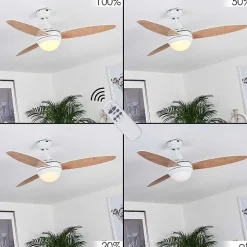 Ventilateur De Plafond Beltiglio Bois Fonce, Blanc, 2 Lumieres, Telecommandes