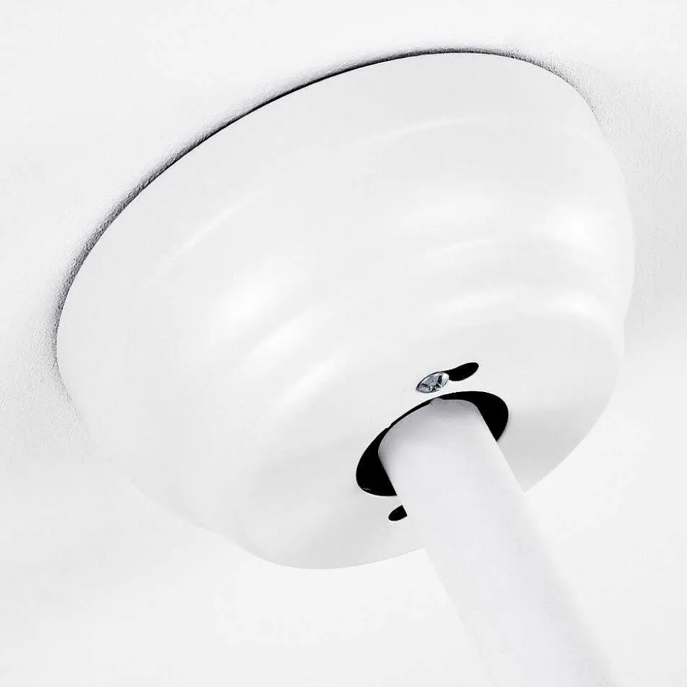 Ventilateur De Plafond Doha Led Blanc, 1 Lumiere, Telecommandes