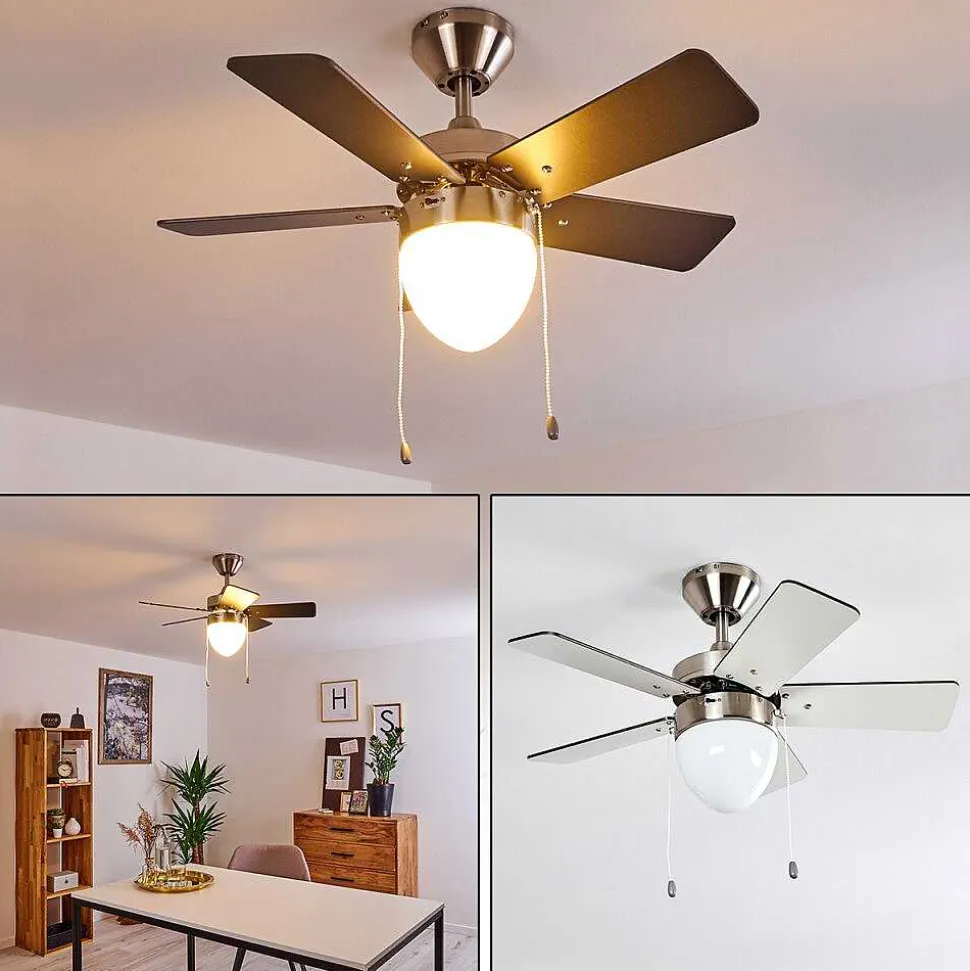 Ventilateur De Plafond Ellmau Chrome, Gris, Blanc, 1 Lumiere