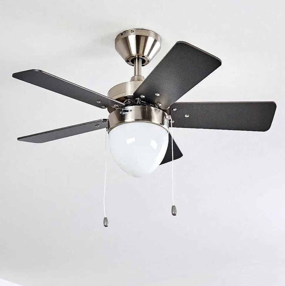 Ventilateur De Plafond Ellmau Chrome, Gris, Blanc, 1 Lumiere