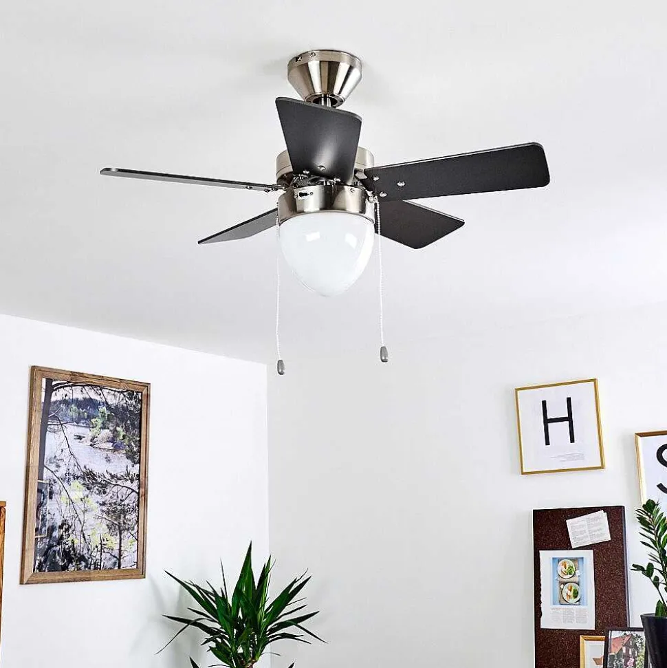 Ventilateur De Plafond Ellmau Chrome, Gris, Blanc, 1 Lumiere