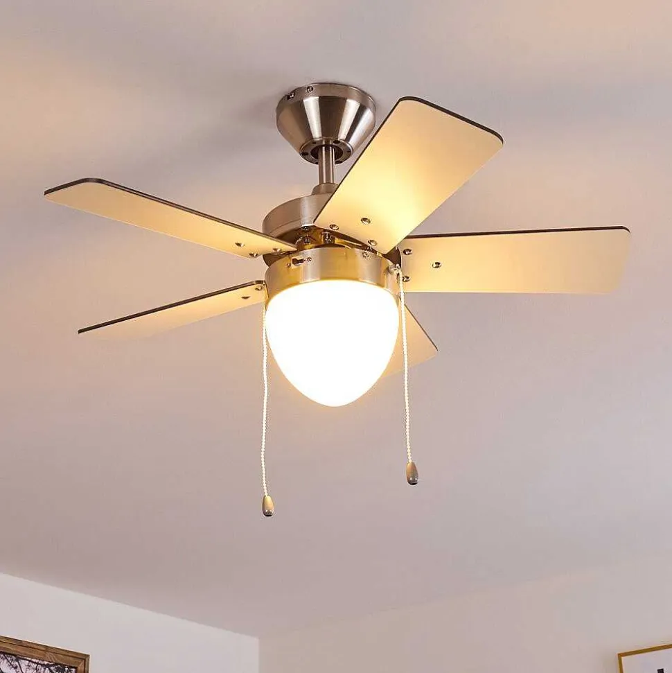 Ventilateur De Plafond Ellmau Chrome, Gris, Blanc, 1 Lumiere