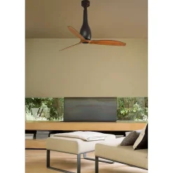 Ventilateur De Plafond Faro Barcelona Eter Noir
