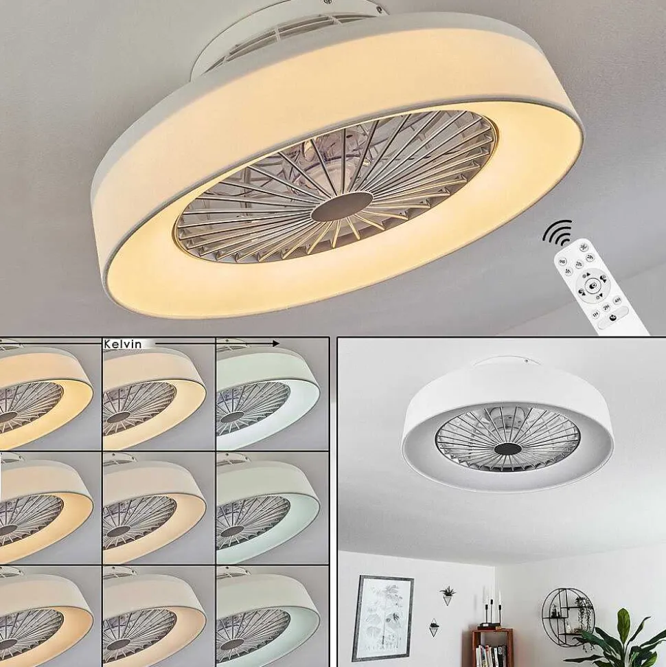 Ventilateur De Plafond Moli Led Blanc, 1 Lumiere, Telecommandes