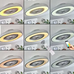 Ventilateur De Plafond Penon Led Argente, 1 Lumiere, Telecommandes