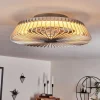 Ventilateur De Plafond Rivarotta Led Blanc, 1 Lumiere, Telecommandes