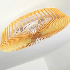 Ventilateur De Plafond Rivarotta Led Blanc, 1 Lumiere, Telecommandes