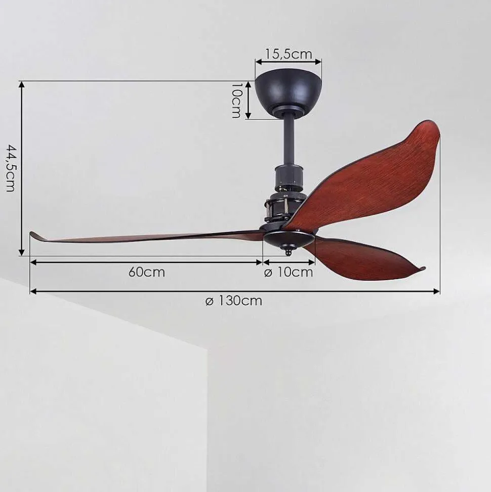Ventilateur De Plafond Torgnes Brun, Couleur Bois, Noir, Telecommandes